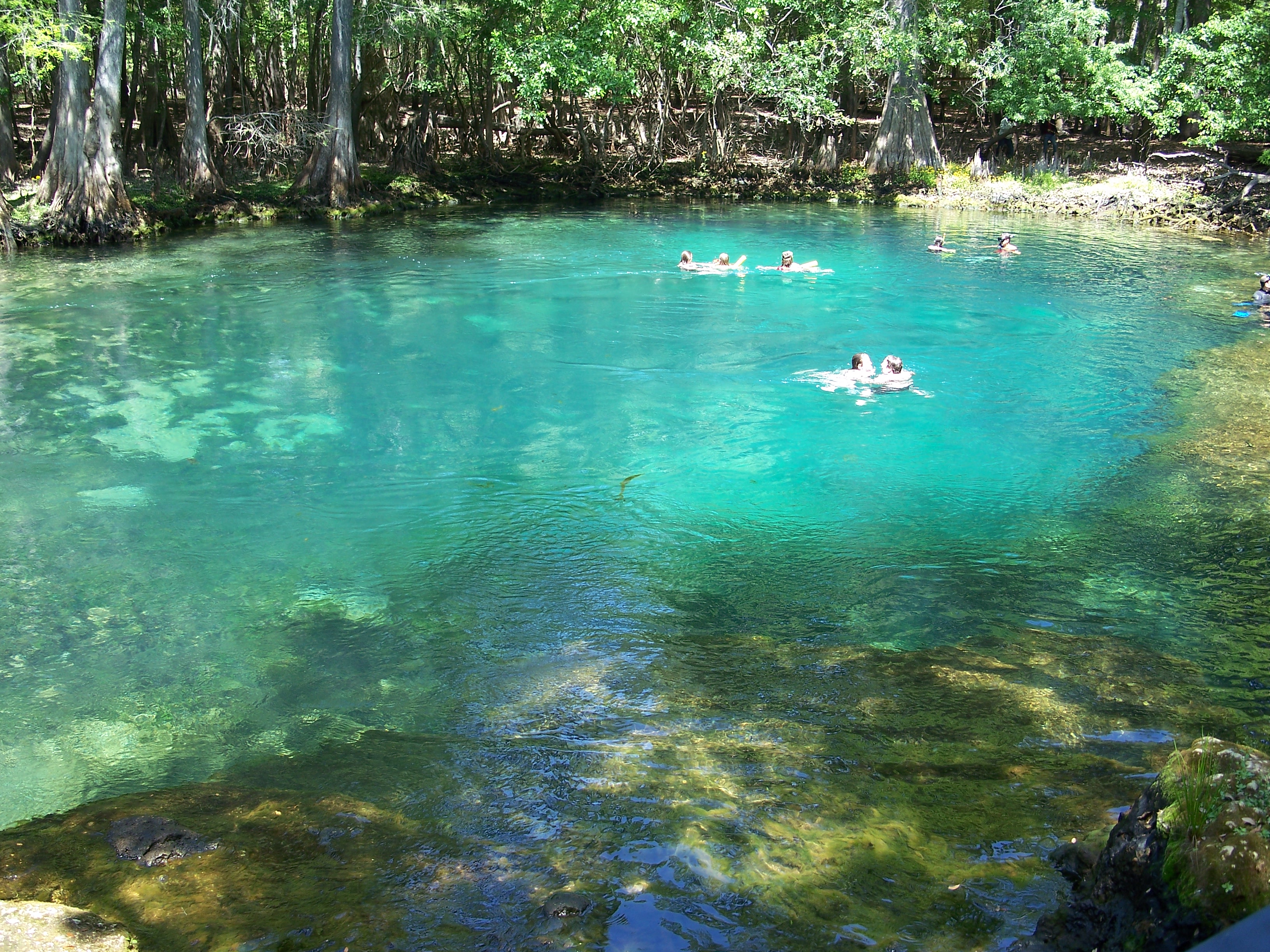 Blue Spring State Park (Image Credits: Wikimedia)