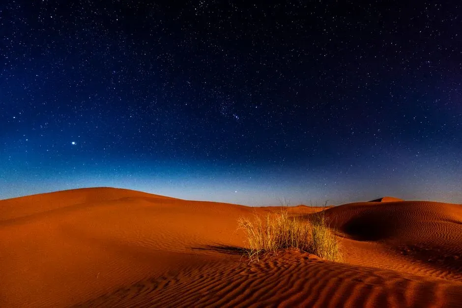 What the Latest Numbers Say About Stars Versus Sand (Image Credits: Pexels)