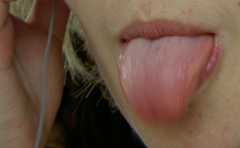 The Myth of the Tongue Map (Image Credits: Flickr)