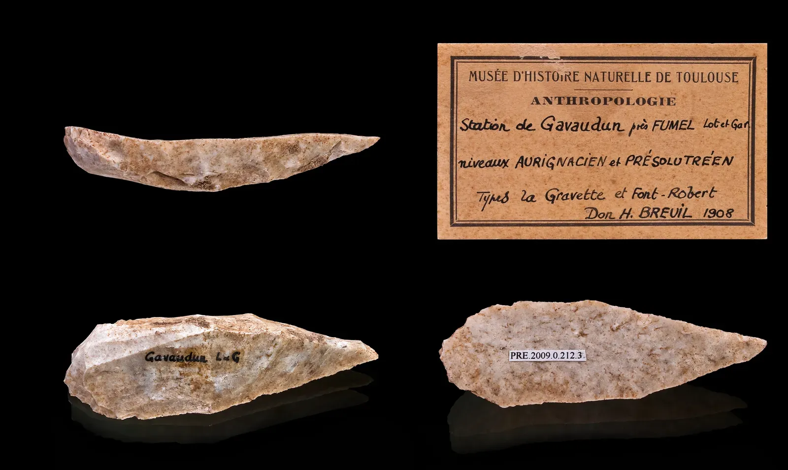 6. Cutting and Scraping Tools for Hides: Turning Animals into Clothing and Shelter (By Didier Descouens, CC BY-SA 3.0)