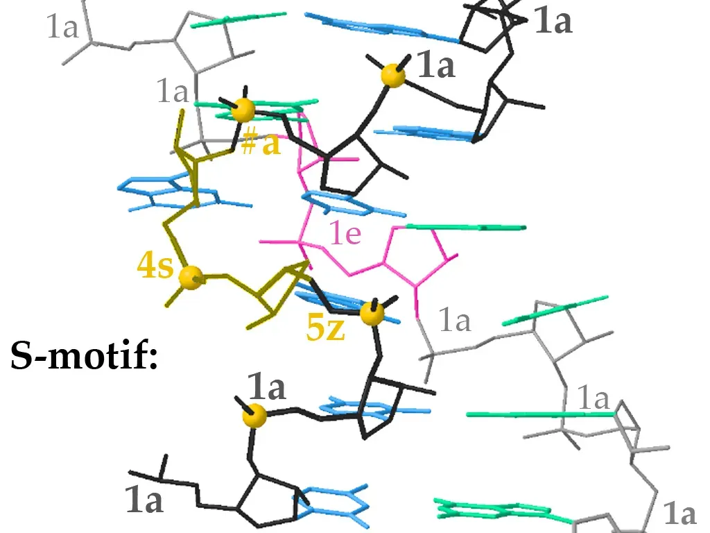Why RNA May Have Been Your First Genetic Material (By Dcrjsr, CC BY-SA 3.0)