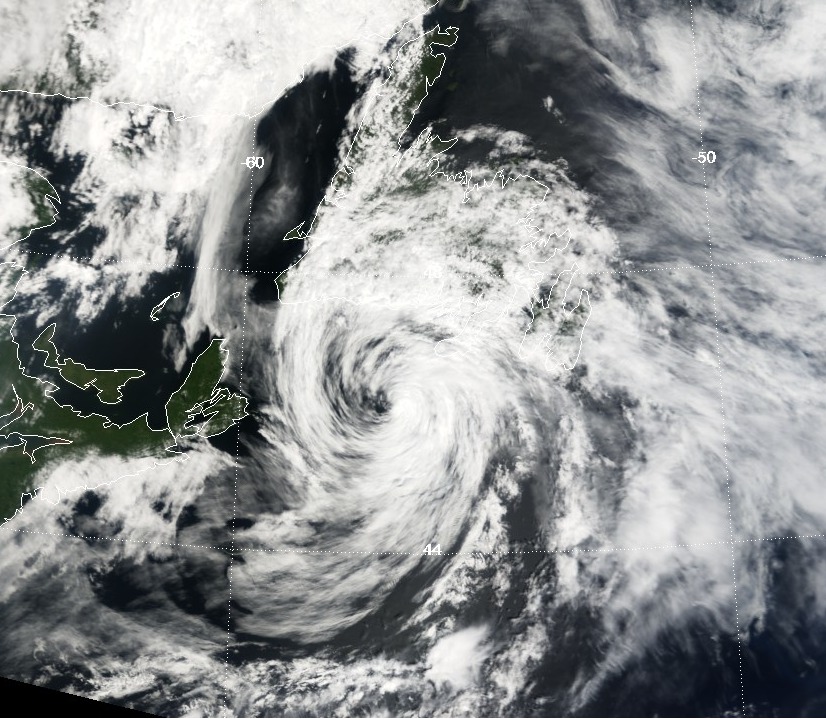 Data Signals From the Field (Image Credits: Wikimedia)