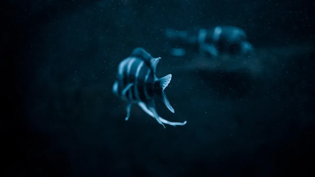 Pisces – The Deep-Sea Anglerfish: Lures, Longing, And Emotional Depths (Image Credits: Unsplash)