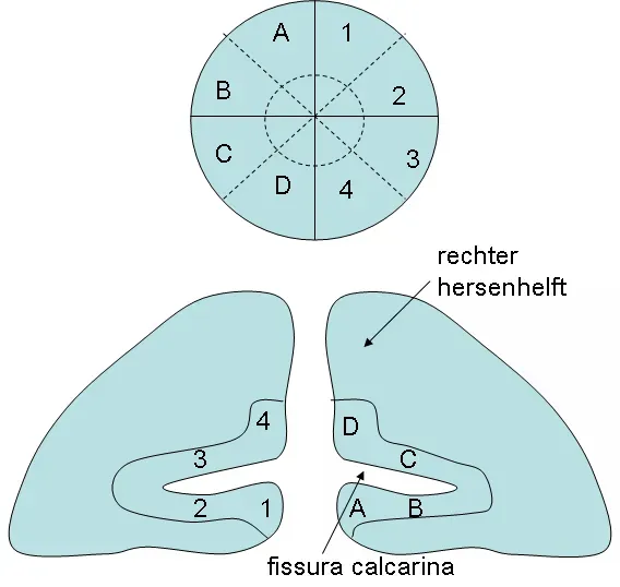 Why It Matters: Perception, Bias, and Everyday Life (Image Credits: Wikimedia)