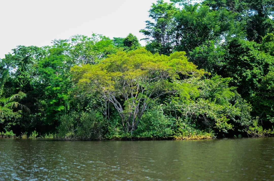 How European Colonization Erased a World (Image Credits: Unsplash)