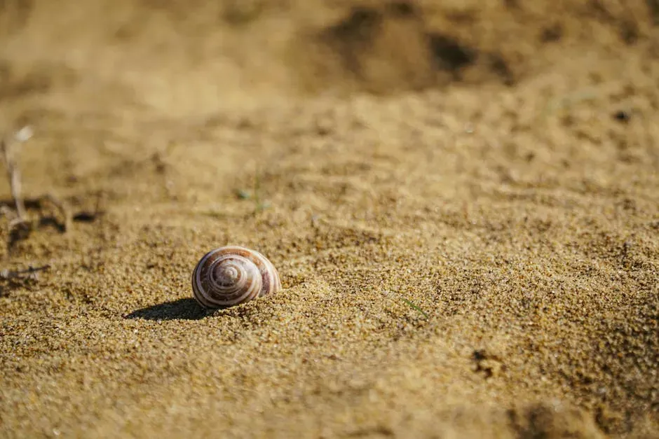 10. Desert Snails: Sleeping for Years at a Time (Image Credits: Pexels)
