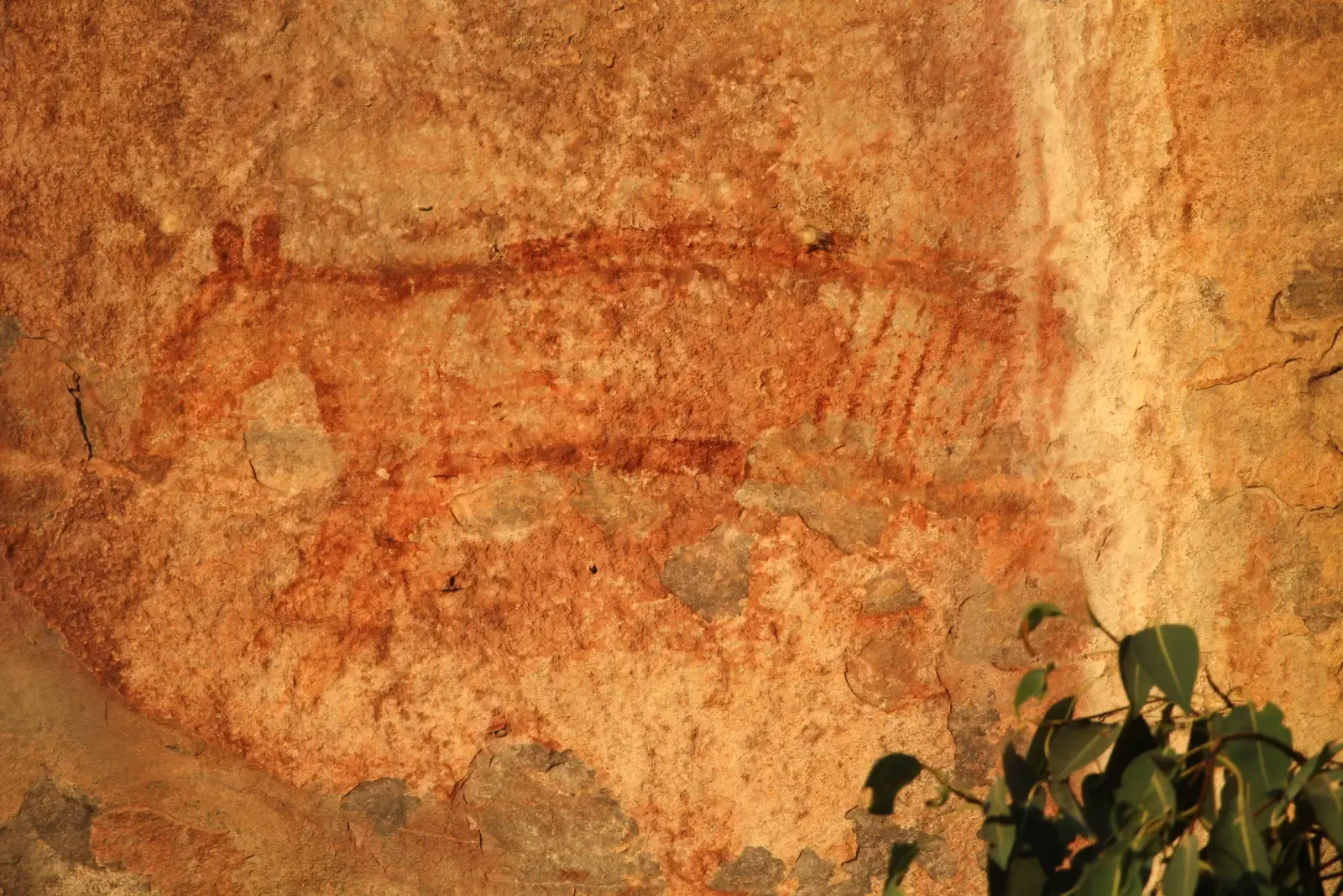 #13 - Striped Ghosts: Thylacine Art Painted After the Mainland Extinction (By Dave Pape, CC0)