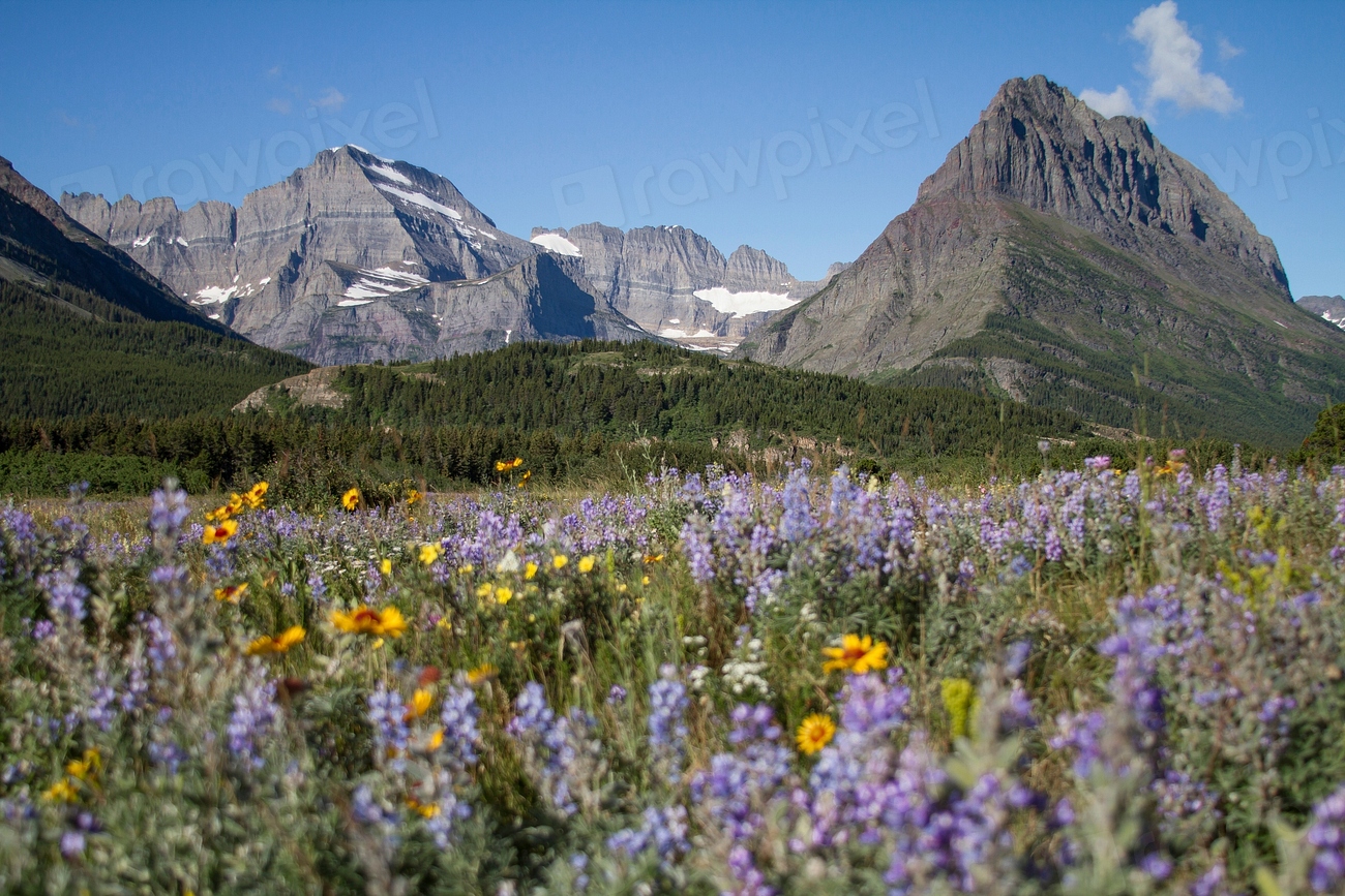 Montana - High Plains and Mountain Valleys (Image Credits: Rawpixel)