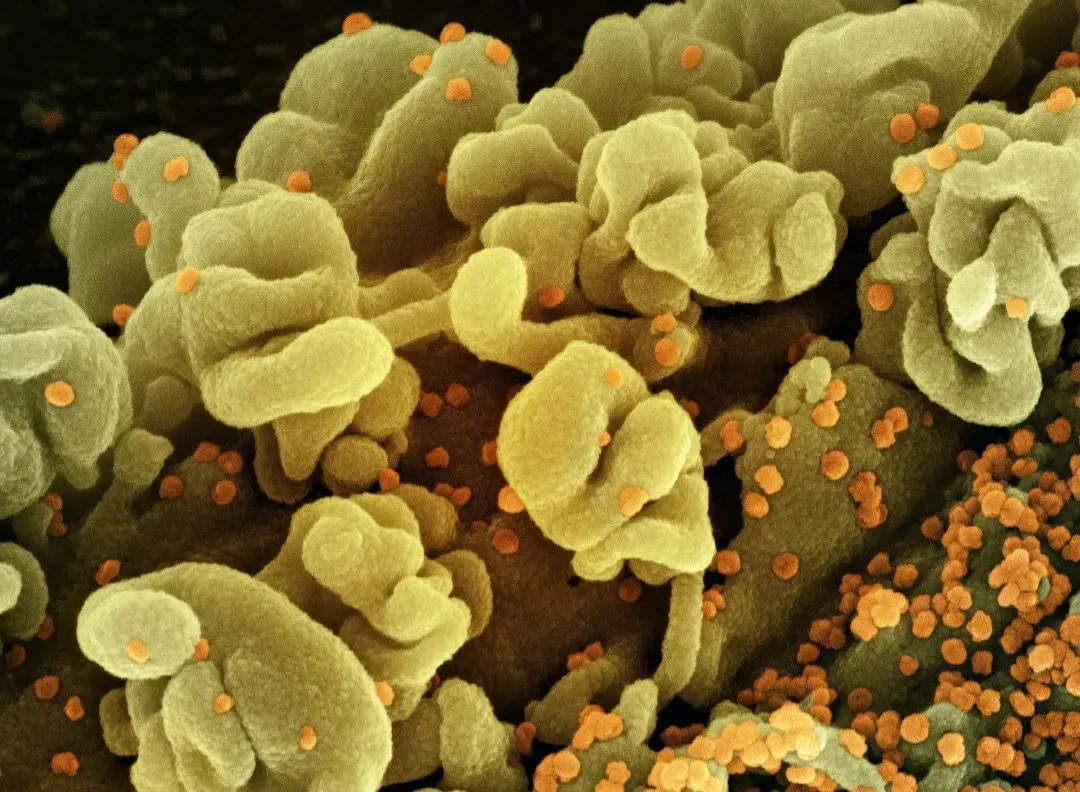 Extreme Survivors: Life in the Harshest Places (Image Credits: Unsplash)