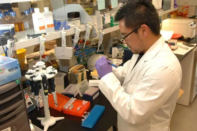 #20 – The Flashy Effect That Vanished Once The Methods Got Fixed (Image courtesy United States National Institutes of Health.. As explicitly mentioned on their website this image is free content. Medical Laboratory Scientist at bench with micropipettes.NIH copyright notice, Public domain)