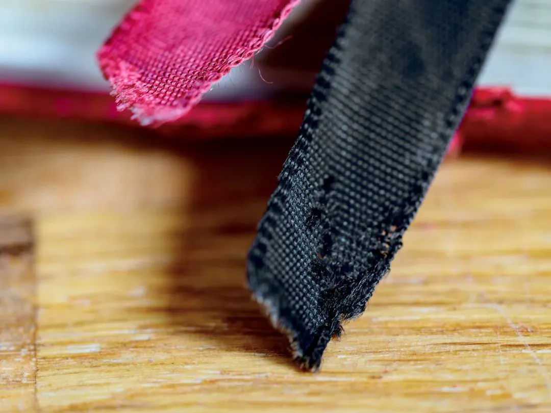 #8 Velcro Inspired by Burrs Stuck to a Dog (Image Credits: Unsplash)