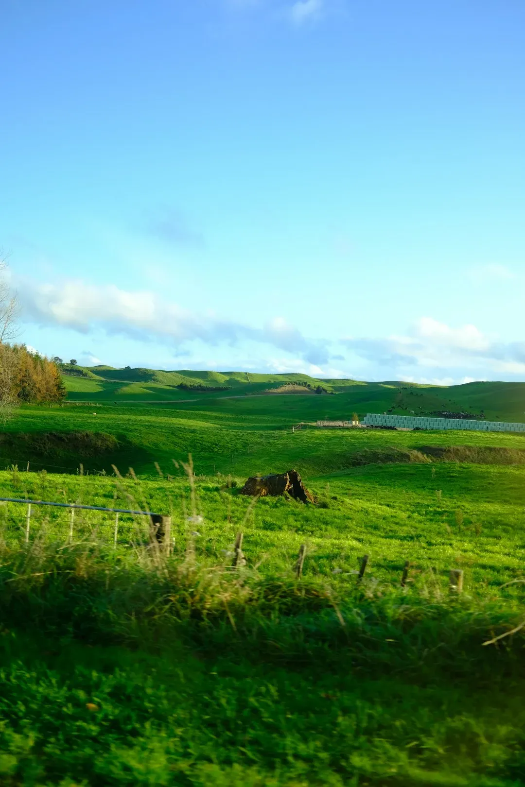 The Future Landscape: Muscogee Knowledge and Science Moving Forward (Image Credits: Unsplash)