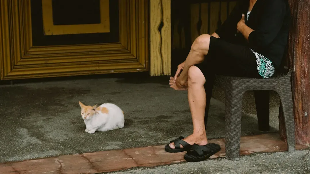 How Cats Use Position and Direction to Show Affection (Image Credits: Unsplash)