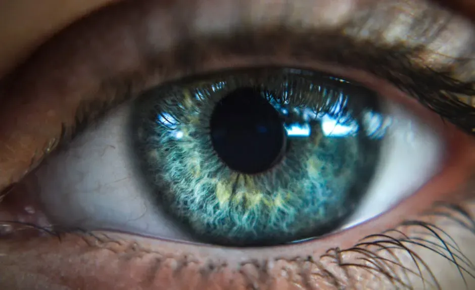 Visions, Voices, And “Visitors” At The End Of Life (Image Credits: Pexels)