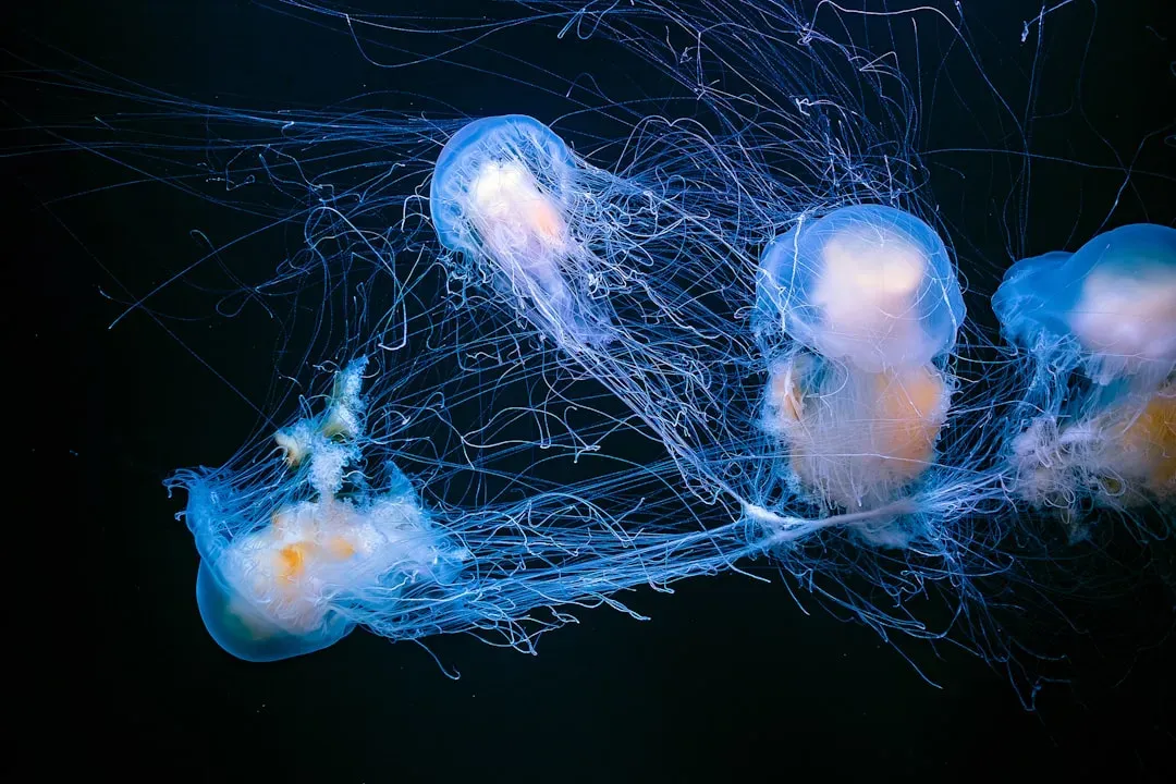 Bizarre Body Plans: From Gelatinous Blobs to Spiny Terrors (Image Credits: Unsplash)