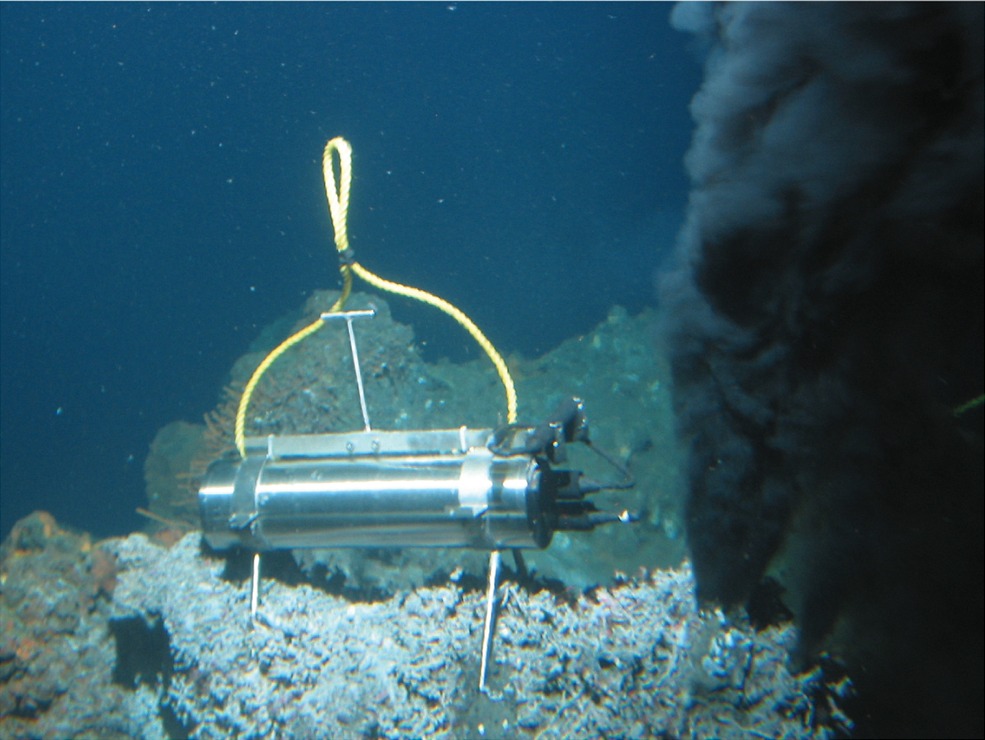 The Deepest Chemosynthetic Communities Ever Found (Image Credits: Wikimedia)