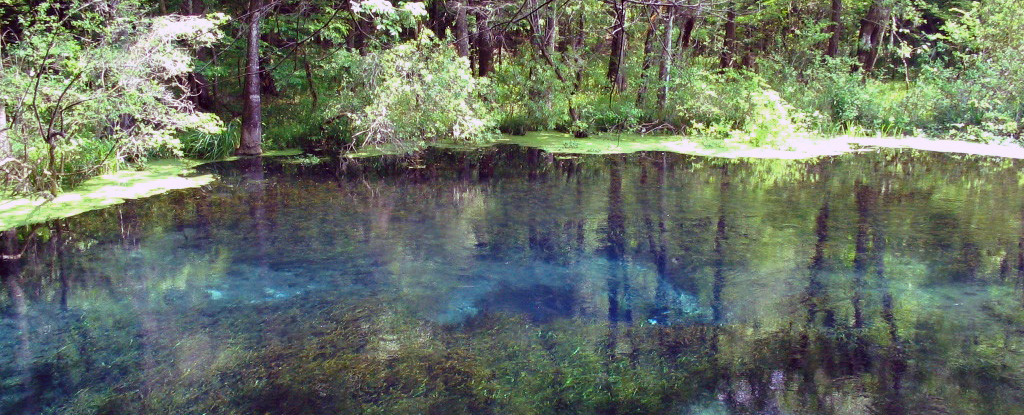 Wakulla Springs, Florida: A Window Into a Cave the Size of a City (Image Credits: Wikimedia)