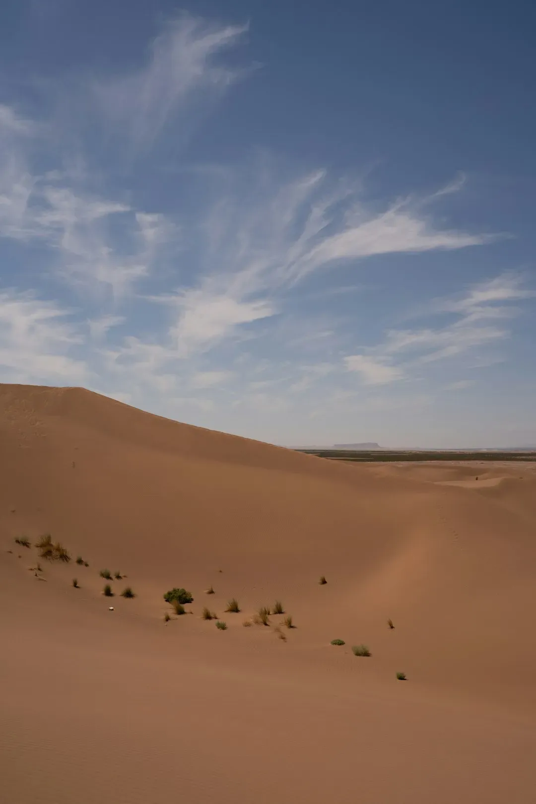 The Future Landscape: Tech, Ethics, and the Next Generation of Desert Scouts (Image Credits: Unsplash)