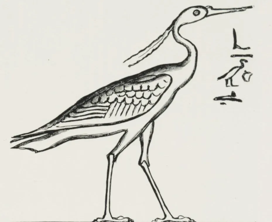 Aquarius – The Bennu Bird (Image Credits: Wikimedia)