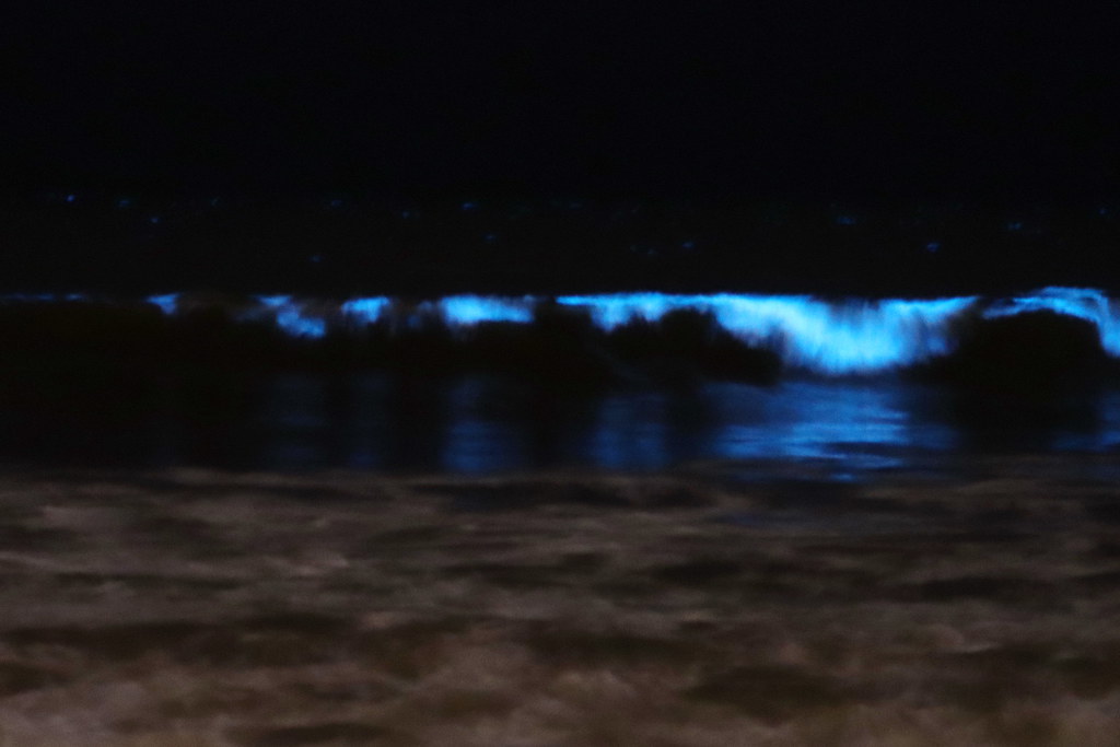 West Coast Gets Unexpected Surprise (Image Credits: Flickr)