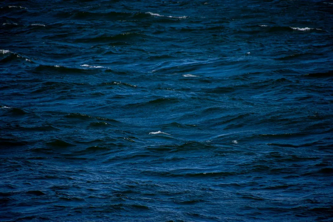 19. Entire Deep‑Sea Landscapes That Defy “Type” Communities (Image Credits: Unsplash)