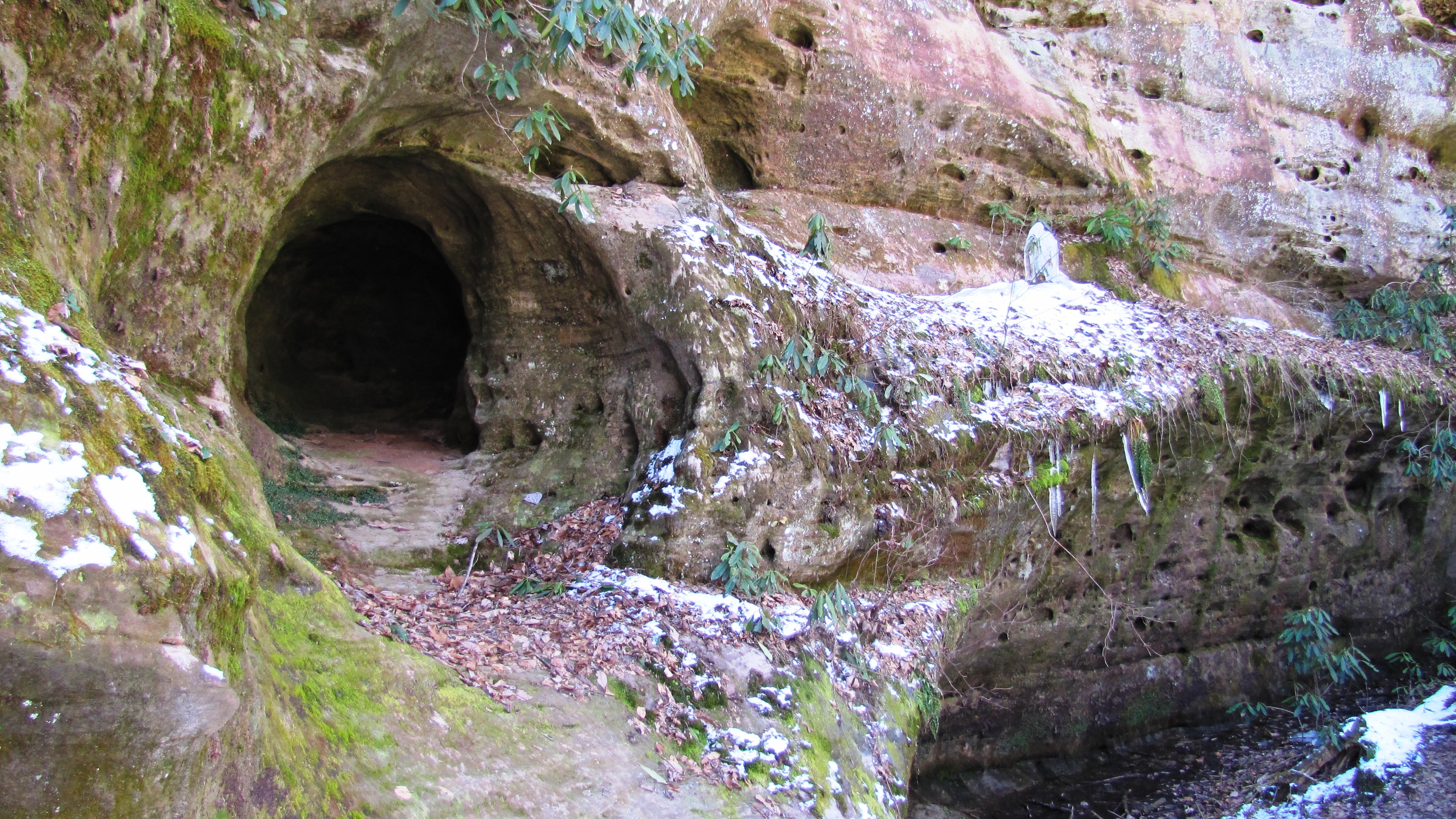 Hazard Cave at Pickett State Park, Tennessee - A Living Constellation (Image Credits: Wikimedia)