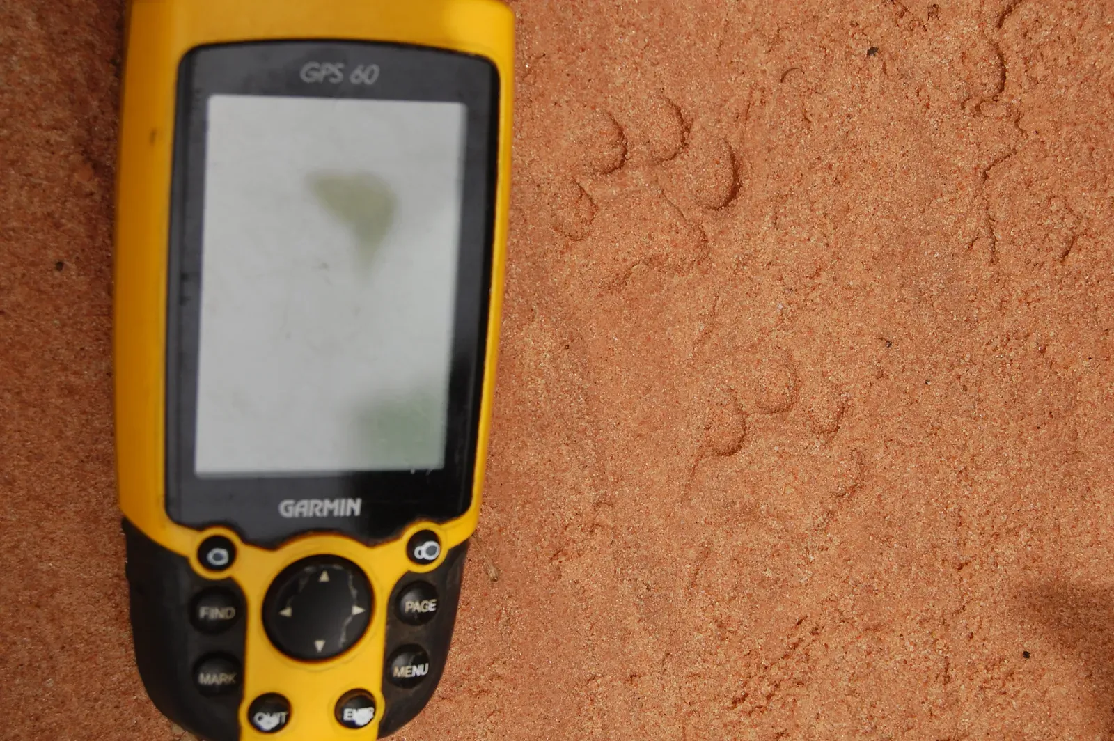 From Desert Data to Daily Life: How You Can Be Part of Mission Magi (Image Credits: Wikimedia)