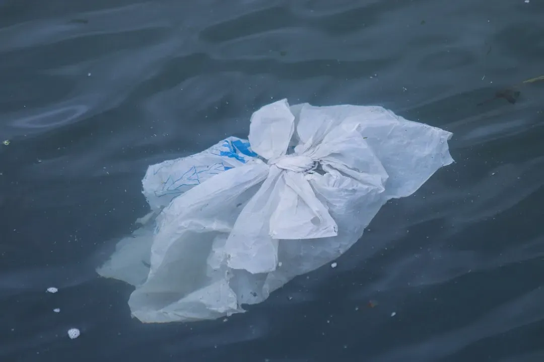 4. Plastic Bags That Look Like Jellyfish (Image Credits: Unsplash)