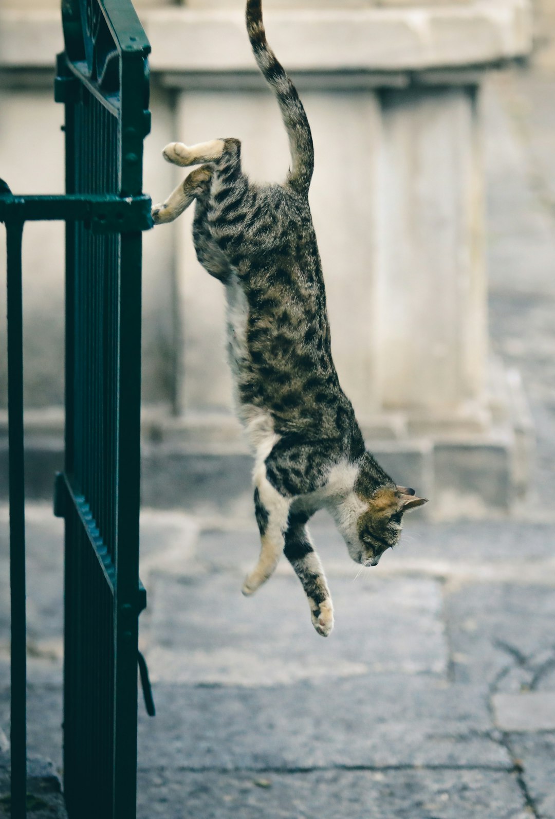 The Hidden Clues (Image Credits: Unsplash)