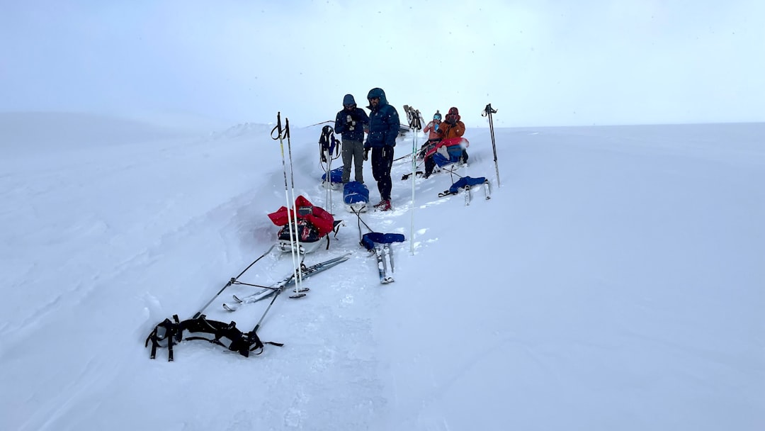 International Collaboration on Ice (Image Credits: Unsplash)