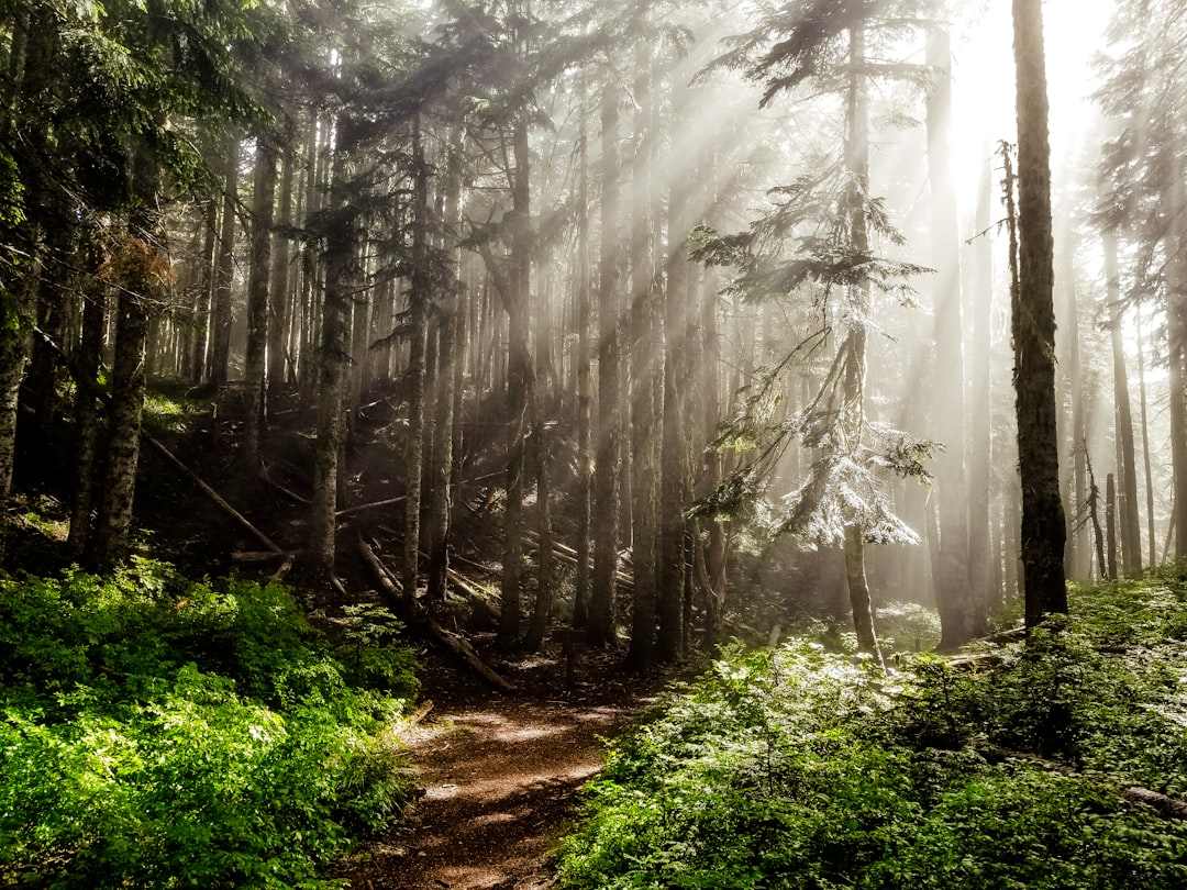 Call to Action (Image Credits: Unsplash)