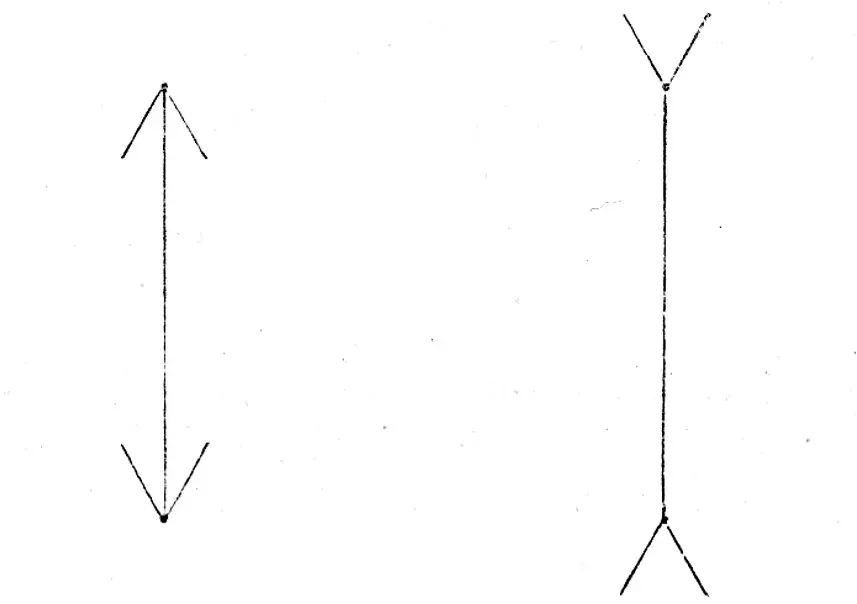 The Müller-Lyer Illusion: When Arrows Warp Your Sense of Size (Image Credits: Wikimedia)
