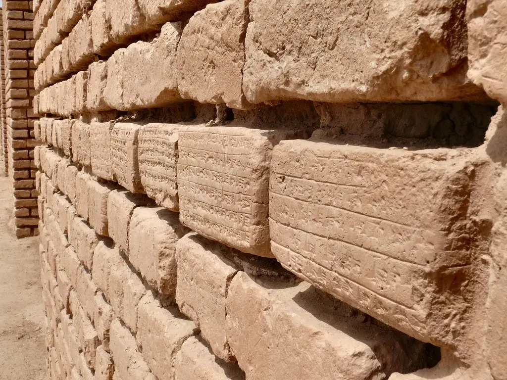 #11 - Hidden in the Walls: The Seeds Nobody Noticed for Two Centuries (dynamosquito, Flickr, CC BY-SA 2.0)