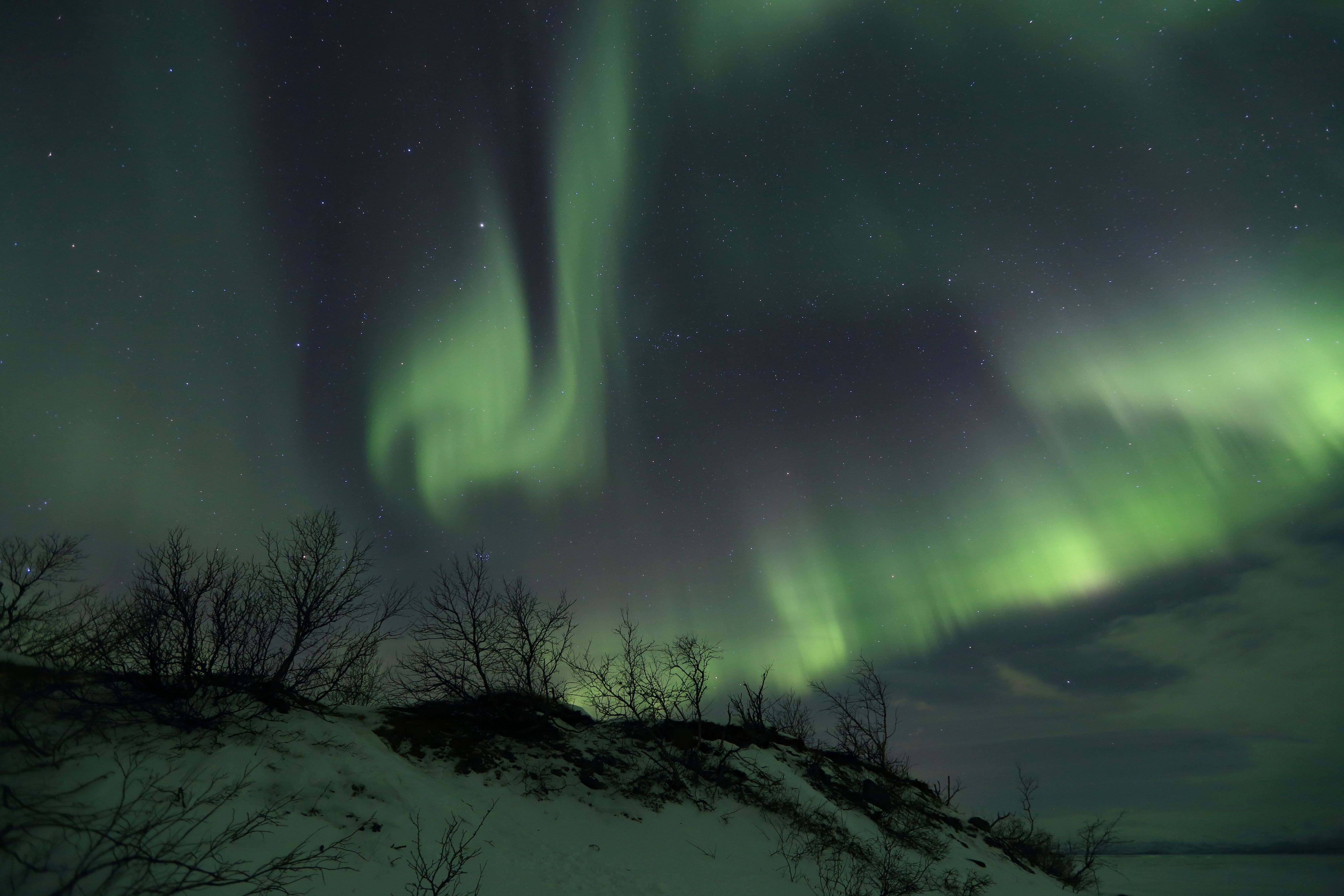 What Makes This Aurora Different (Image Credits: Wikimedia)