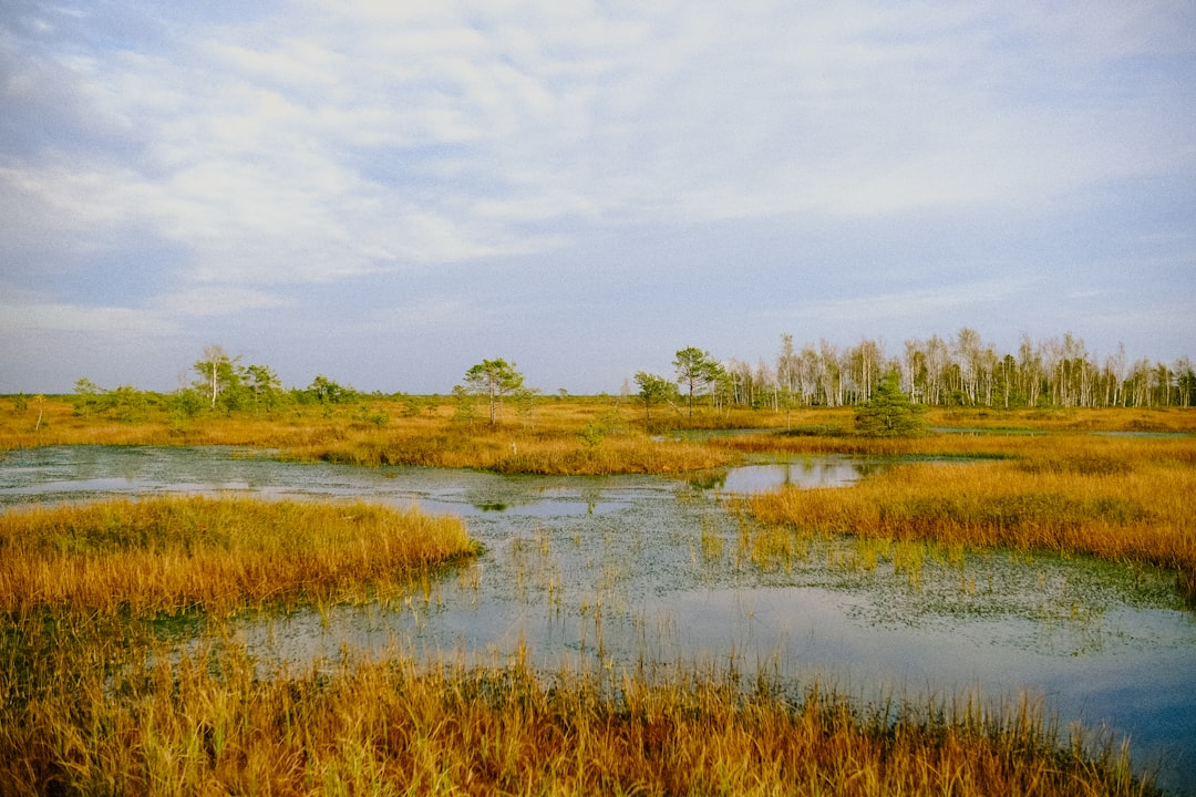Jamaica Bay, New York - Rebuilt Islands, Renewed Carbon Sinks (Image Credits: Unsplash)