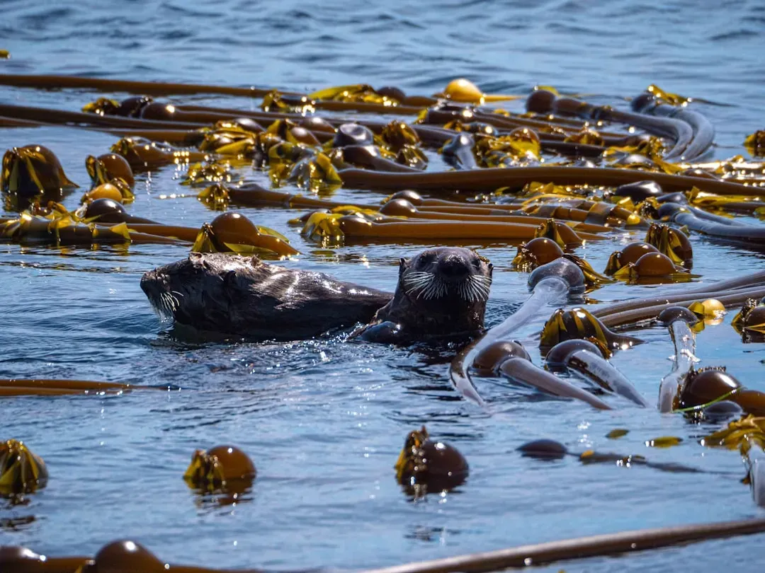 Designing Vertical Forests: How Otters Build Structure, Not Just Greenery (Image Credits: Unsplash)