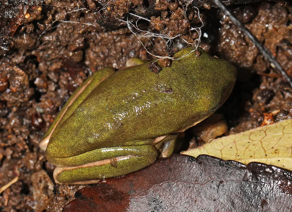 Conclusion (Image Credits: Flickr)