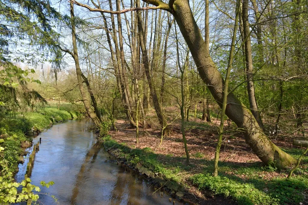 How You Can Engage With Places You’ll Never Visit (Image Credits: Rawpixel)