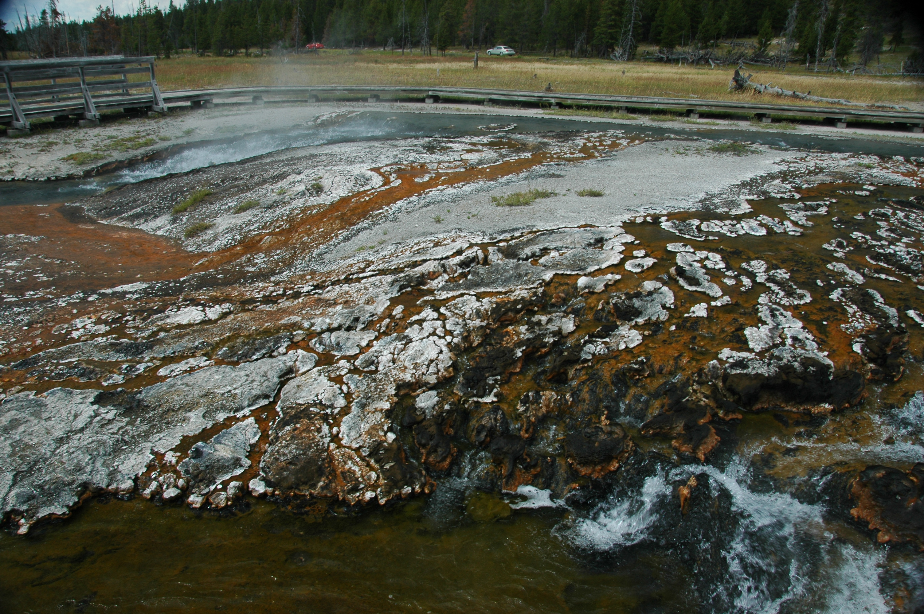 Call to Action (Image Credits: Wikimedia)