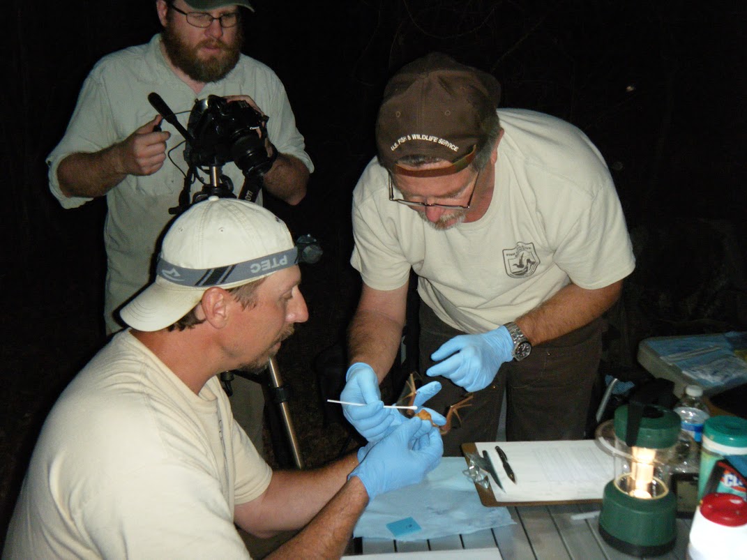 Citizen Science Revolution (Image Credits: Wikimedia)