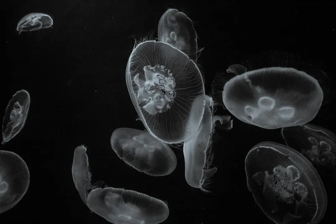 Why Extreme Life Changes Our View of the Universe (Image Credits: Unsplash)