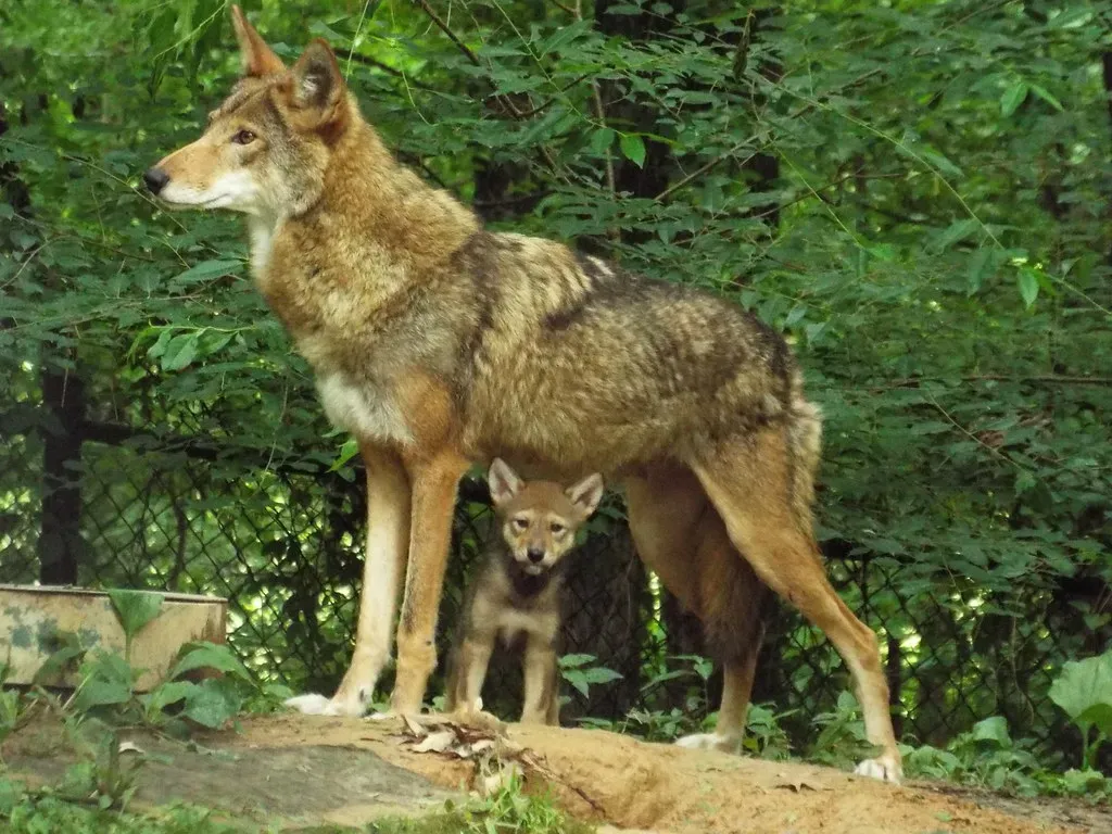 Conclusion: The Hidden Education Before The Hunt (Image Credits: Flickr)