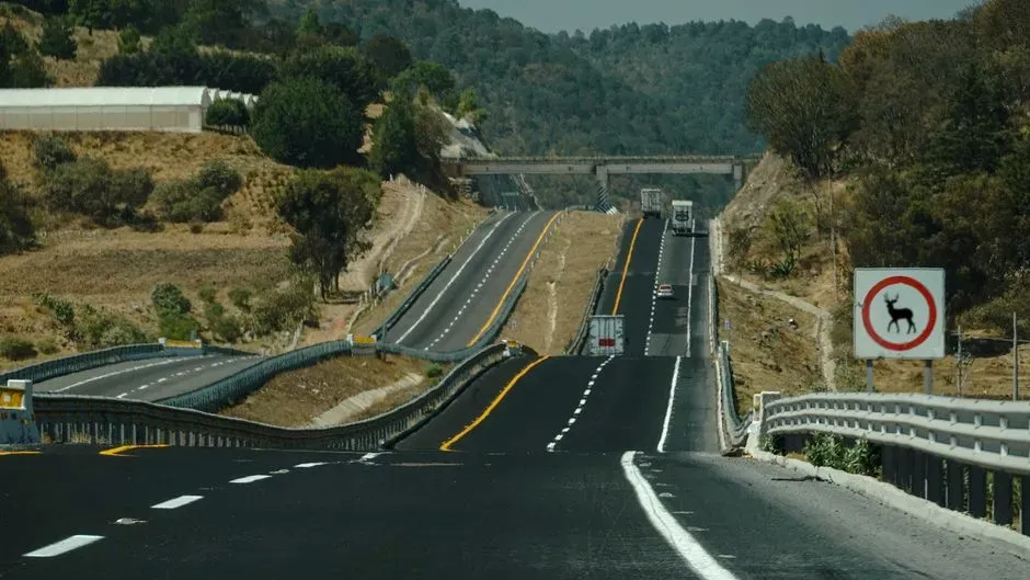 1. Reconnecting Isolated Populations Across Highways and Cities (Image Credits: Pexels)
