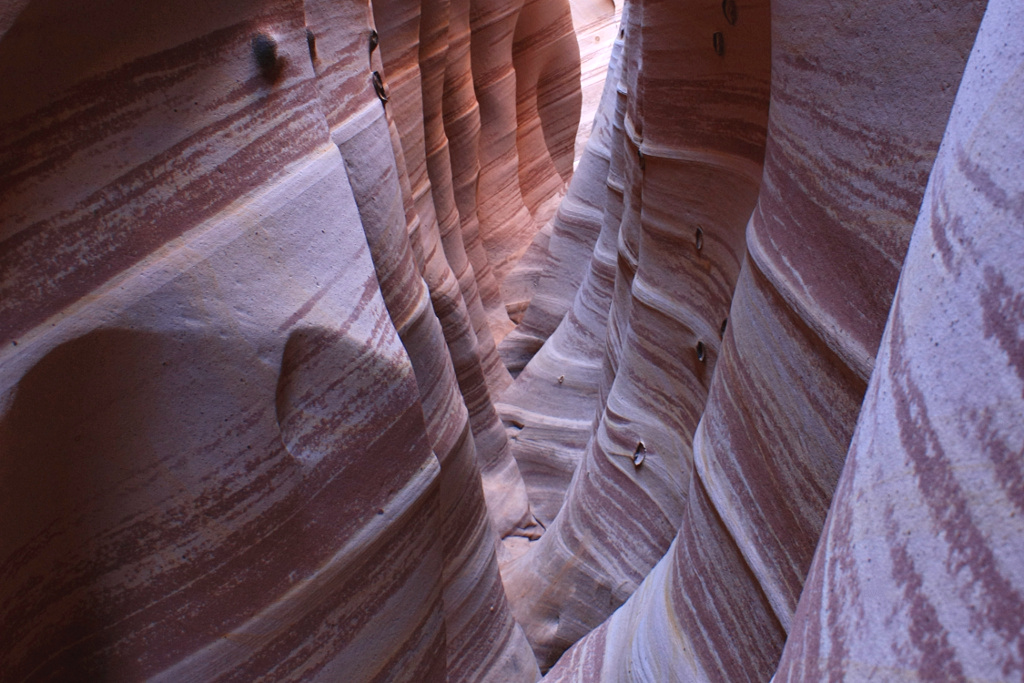 Zebra Slot Canyon: Nature's Striped Masterpiece (Image Credits: Wikimedia)