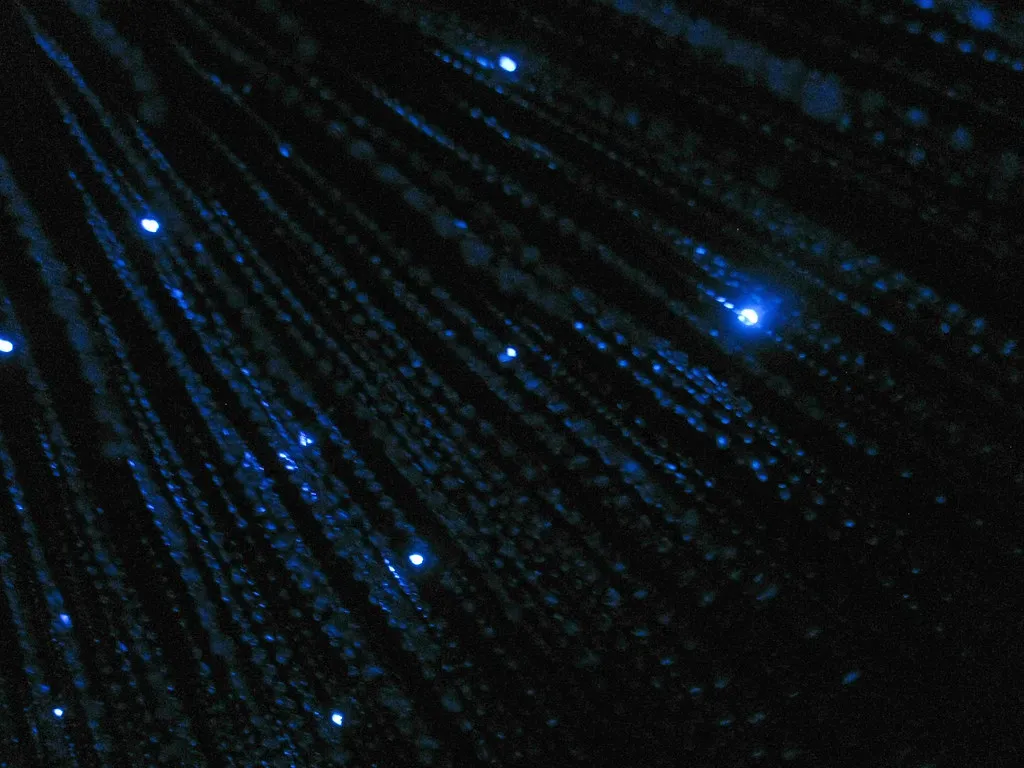 The Chemistry Behind Living Light (edenpictures, Flickr, CC BY 2.0)