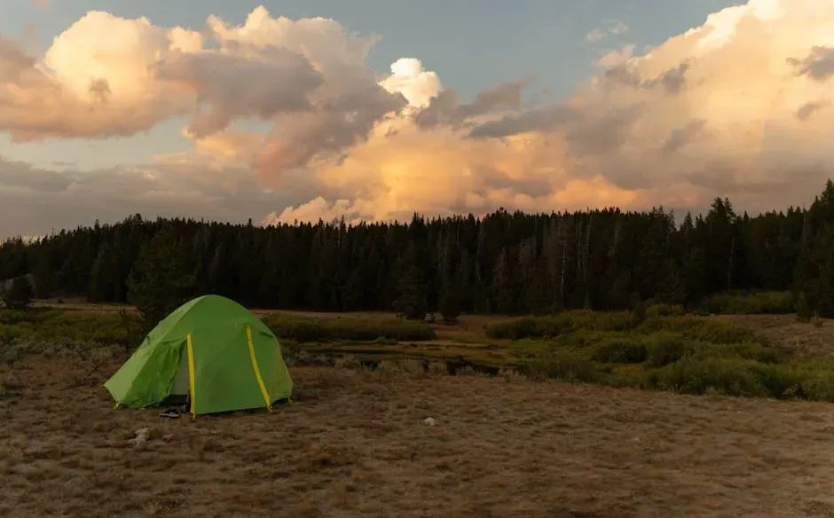 5. A Yellowstone Backcountry Traveler Whose Camp Was Found but Not His Trail (Image Credits: Pexels)