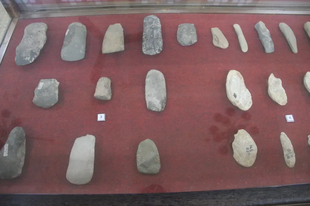 8. The Reevaluation of Neanderthals: Not Brutes, but Relatives (Image Credits: Flickr)