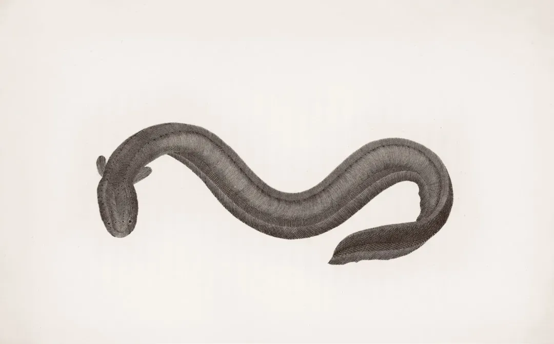 Electric Whispers: The Invisible Language of Weakly Electric Fish (Image Credits: Unsplash)