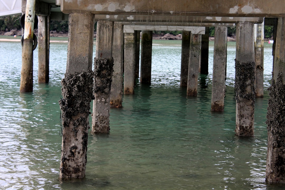 Marine Concrete: Thriving in Seawater (Image Credits: Unsplash)