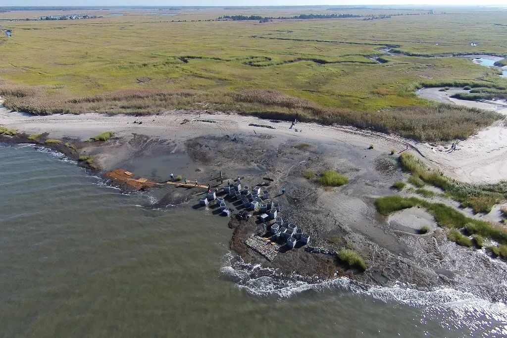 #12 Emerging Salt Marsh Edges and the Tug-of-War with Rising Seas (Image Credits: Flickr)